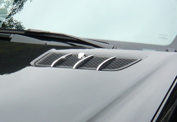 X164 GL Chrome stripes to hood