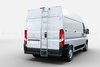 Ducato / Jumper / Boxer rear door ladders