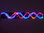 Devil Eyes Led panel 120cm