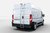 Toyota Proace Max Rear door ladders